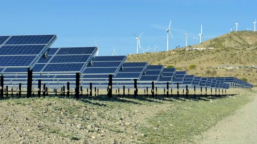 renewable-energy-auctions-bidding-our-way-to-a-greener-future