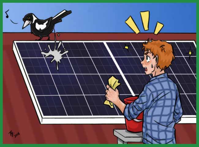 solar-panels-are-hot-idea-but-beware-pitfalls