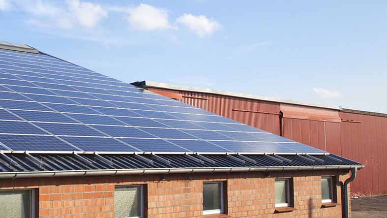 tams-grant-for-solar-panels-on-farms